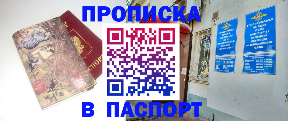пропишу в квартире в Абинске